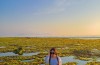 Ninh Thuận: Cánh đồng rêu cực lạ