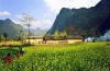 Du lịch Miền Bắc: Hà Nội – Hà Giang – Quản Bạ – Đồng Văn – Lũng Cú (3N2Đ)