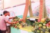 Ngày hội Du lịch “Vườn trái cây Tân Lộc” năm 2019