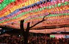 Lễ hội đèn lồng mừng Phật Đản tại Seoul- Hàn Quốc  (lễ hội Yeondeunghoe )