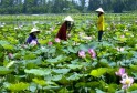Mekongdeltaexplorer (1)