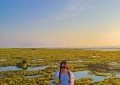 Ninh Thuận: Cánh đồng rêu cực lạ