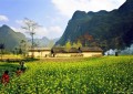Du lịch Miền Bắc: Hà Nội – Hà Giang – Quản Bạ – Đồng Văn – Lũng Cú (3N2Đ)