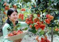 Du Lịch Cần Thơ: Chợ Nổi – Vườn Trái Cây – KDL Mỹ Khánh – Chùa Hoa – Chùa Khmer 2N1D
