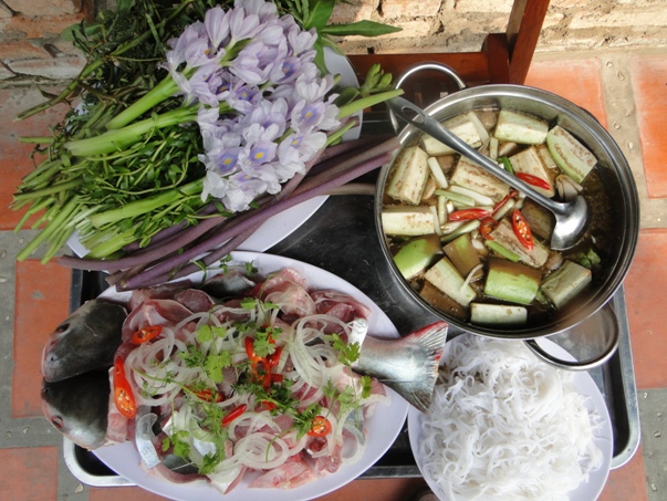 Vườn sinh thái Hoa Súng - Mekong Delta Explorer Travel